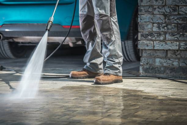 Best Warehouse Cleaning  in Beacon Hill, WA