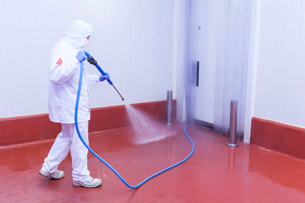 Best Factory Floor Cleaning  in Beacon Hill, WA
