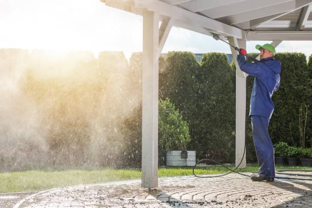 Best Gutter Cleaning  in Beacon Hill, WA