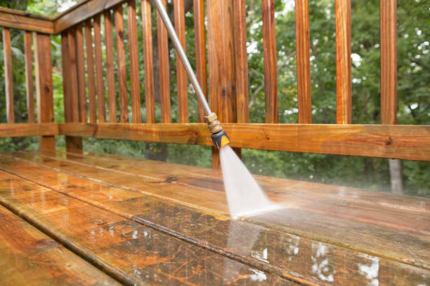 Best Animal Enclosure Cleaning  in Beacon Hill, WA